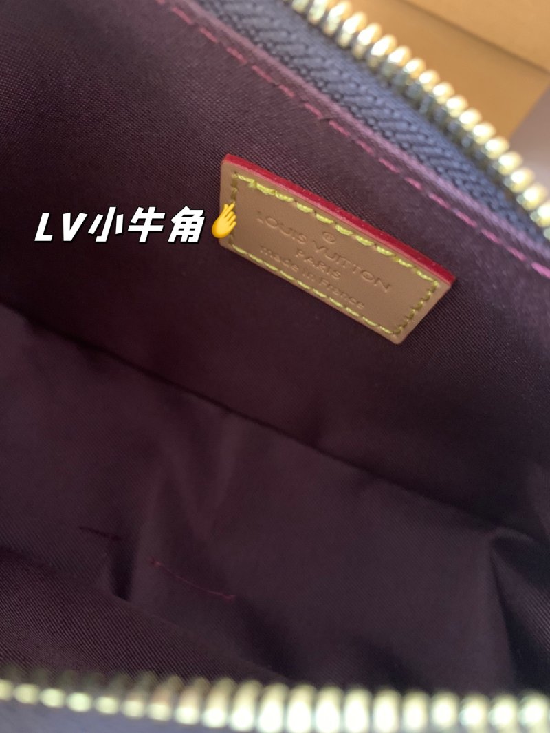 Louis Vuitton Mini Monogram Hobo Bag with Chain Strap view