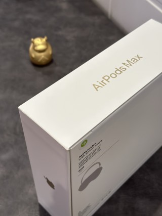 Apple AirPods Pro Max Starlight 1:1 UA Replica view 17