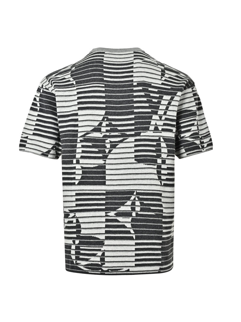 Black & White Striped Graphic Short Sleeve T-Shirt view