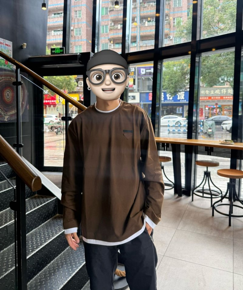 Brown Long Sleeve Crewneck T-Shirt with Contrast Trim