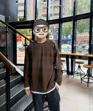 Brown Long Sleeve Crewneck T-Shirt with Contrast Trim