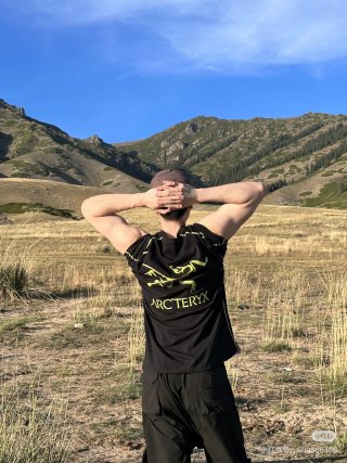 Arc'teryx Black Gold Bird T-Shirt view 4