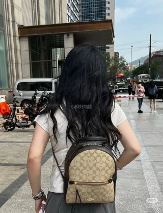 Coach Signature Beige Backpack view 8