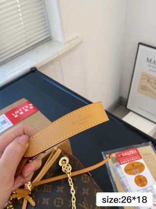 Louis Vuitton Carryall Monogram Gold Chain Shoulder Bag view 6