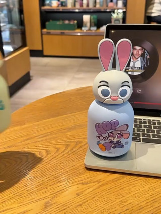 Cute Bunny Rabbit Character Water Bottle – Pink & White