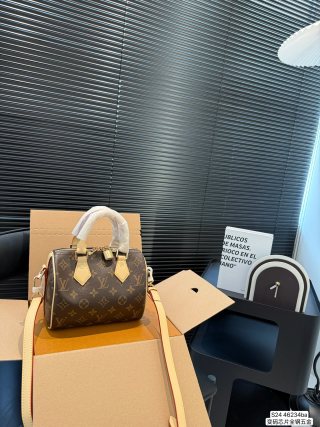 Louis Vuitton Speedy Pillow Bag Monogram Canvas