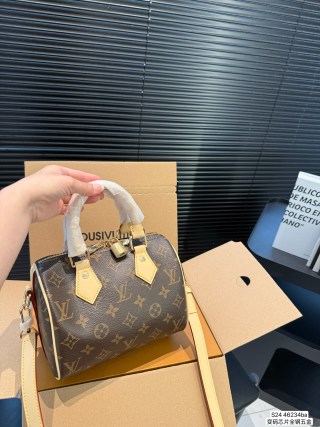 Louis Vuitton Speedy Pillow Bag Monogram Canvas view 2