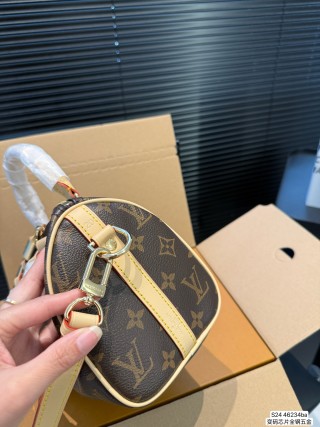 Louis Vuitton Speedy Pillow Bag Monogram Canvas view 8