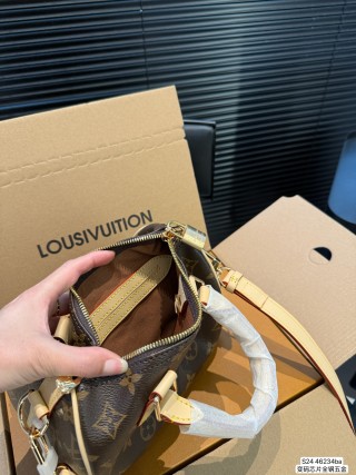 Louis Vuitton Speedy Pillow Bag Monogram Canvas view 9
