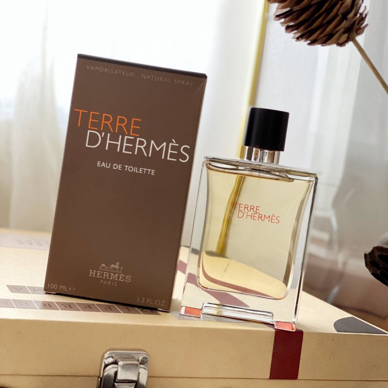 Hermès Terre d'Hermès Eau de Toilette 100ml