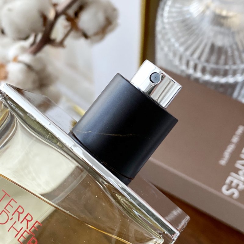 Hermès Terre d'Hermès Eau de Toilette 100ml view