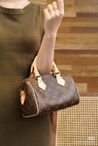 Louis Vuitton Monogram Canvas Speedy Handbag Brown view 2