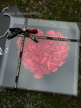 Heart-Shaped Preserved Rose Acrylic Box – Red view 2