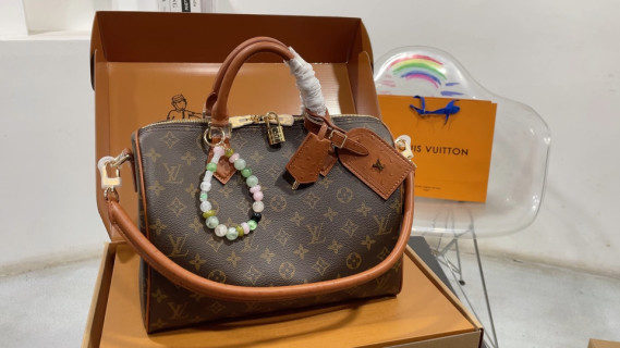 Louis Vuitton Monogram Canvas Speedy Handbag Brown