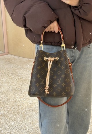 Louis Vuitton Monogram Canvas Bucket Shoulder Bag view 2