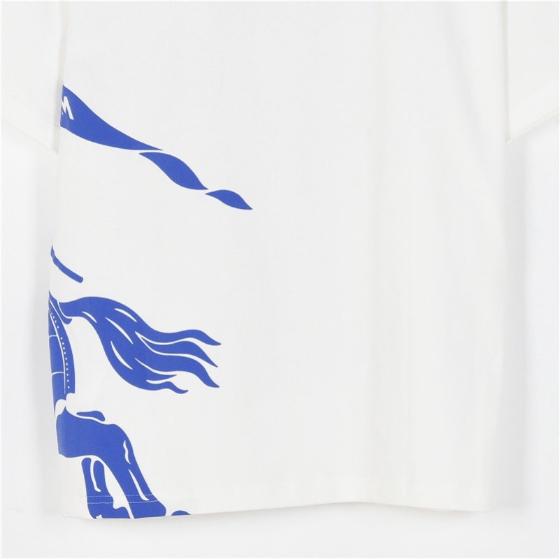 Blue & White Graphic Print Short Sleeve T-Shirt view