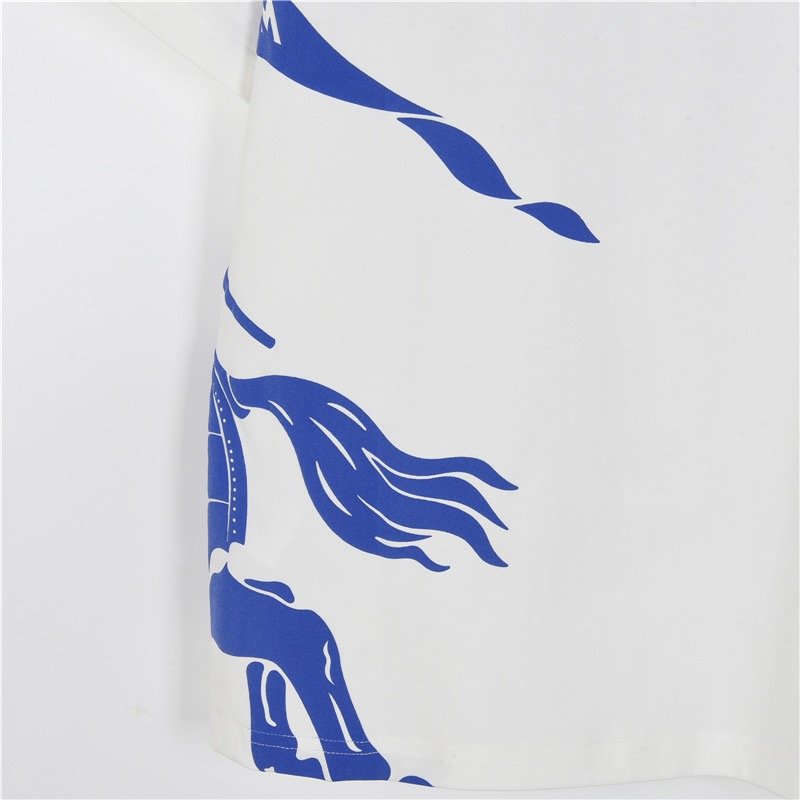 Blue & White Graphic Print Short Sleeve T-Shirt view