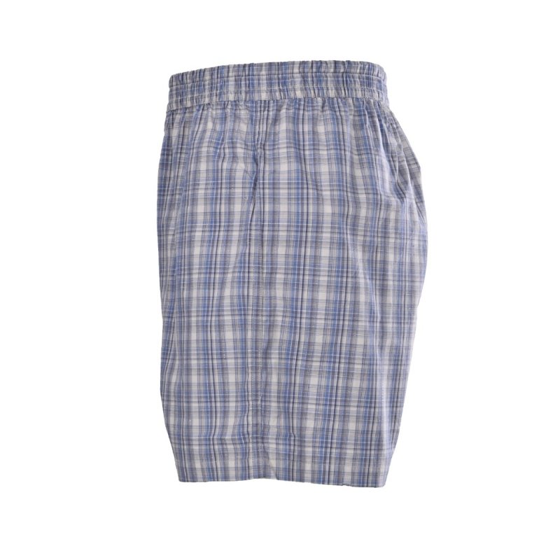 Blue & White Plaid Casual Shorts view