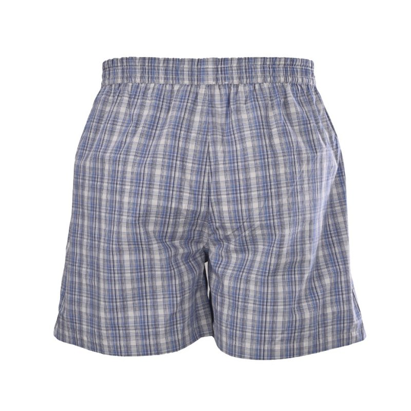 Blue & White Plaid Casual Shorts view