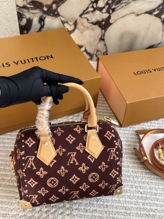 Louis Vuitton Nano Speedy Monogram Canvas Burgundy view 5