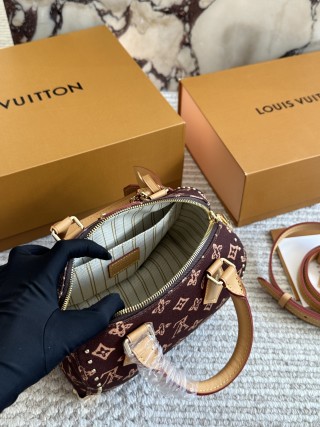 Louis Vuitton Nano Speedy Monogram Canvas Burgundy view 9