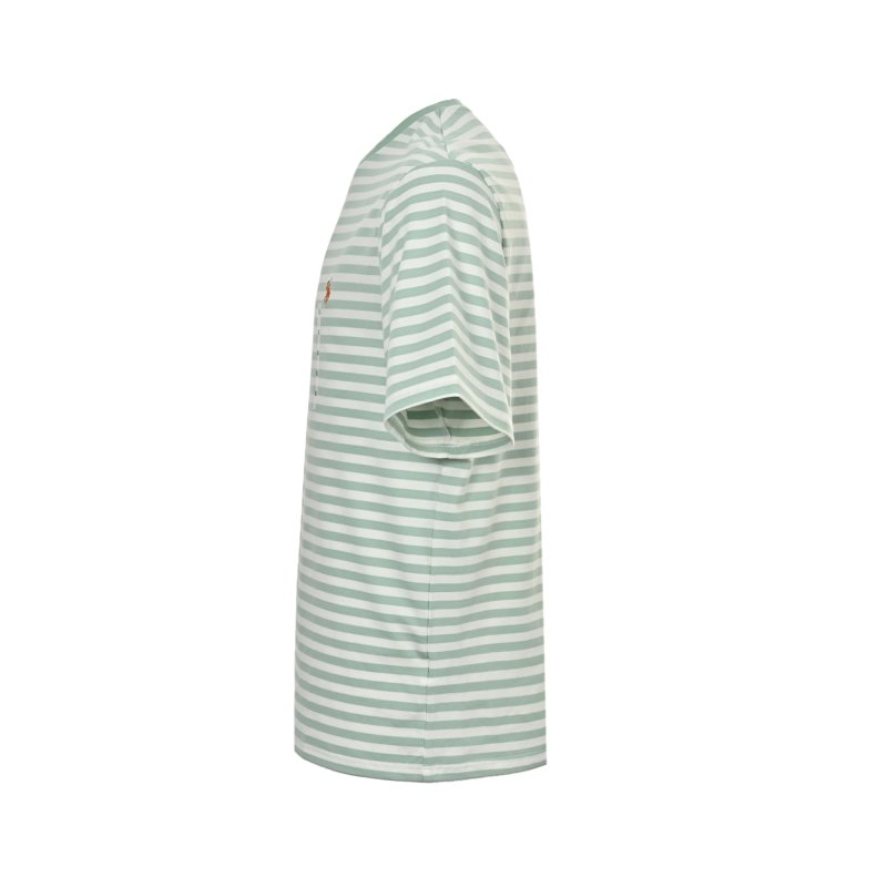 Polo Ralph Lauren Striped T-Shirt Sage Green view
