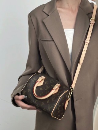Louis Vuitton Speedy 20 Monogram Canvas Shoulder Bag