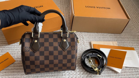 Louis Vuitton Damier Speedy Handbag Brown