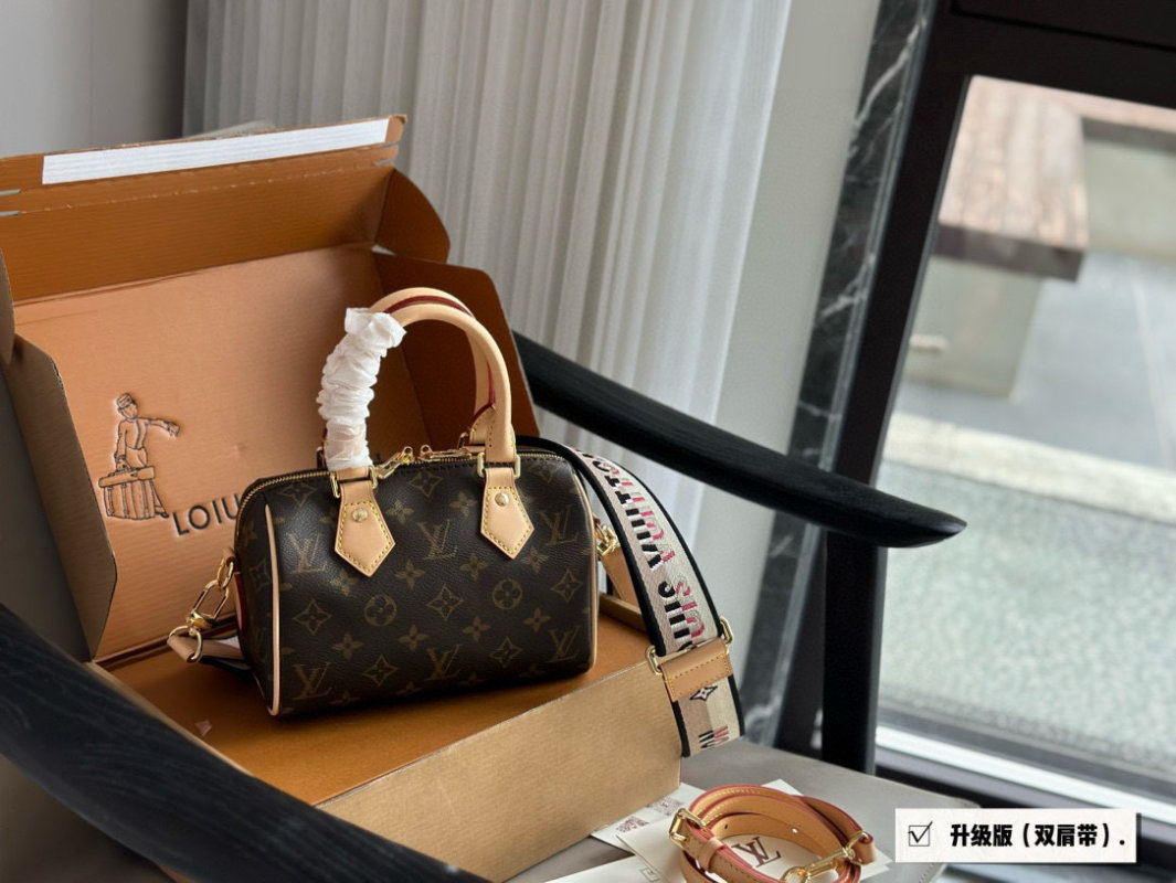 Louis Vuitton Speedy 20 Monogram Canvas Handbag