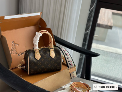 Louis Vuitton Speedy 20 Monogram Canvas Handbag