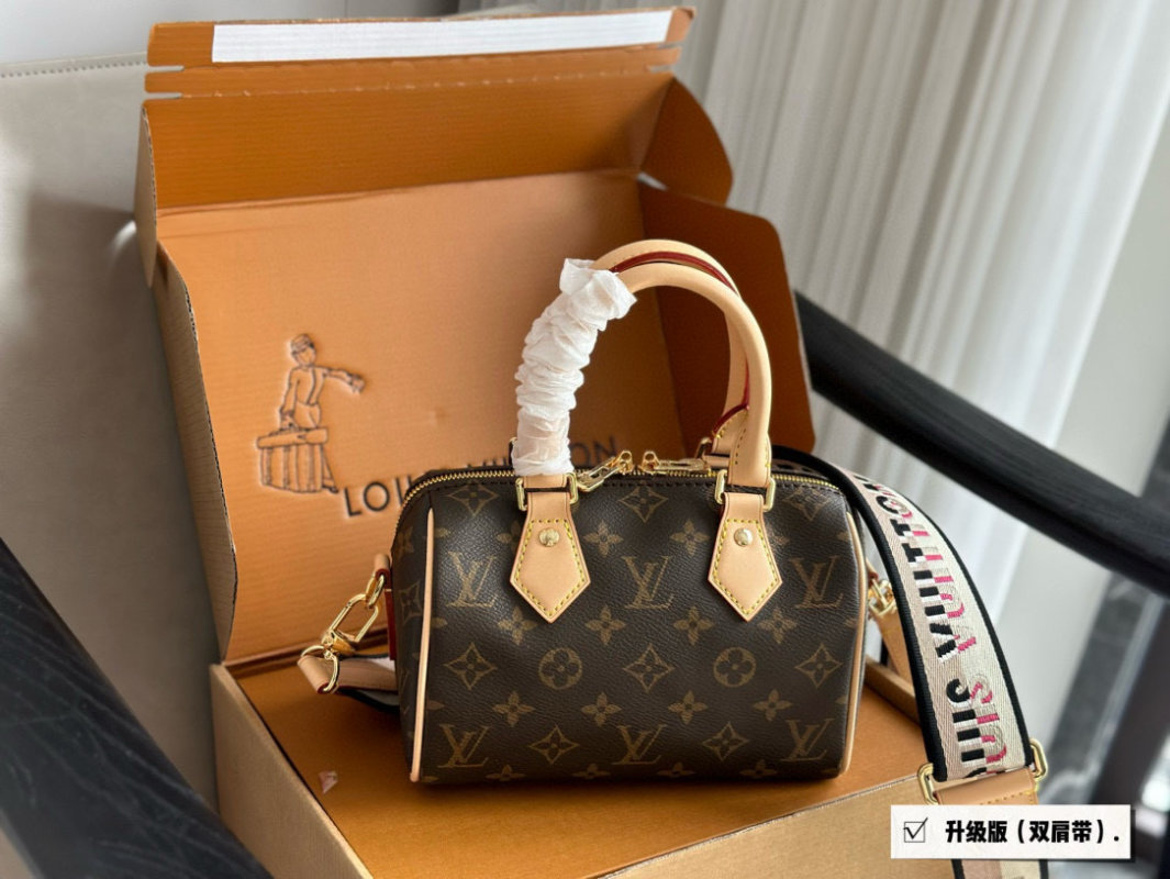 Louis Vuitton Speedy 20 Monogram Canvas Handbag view