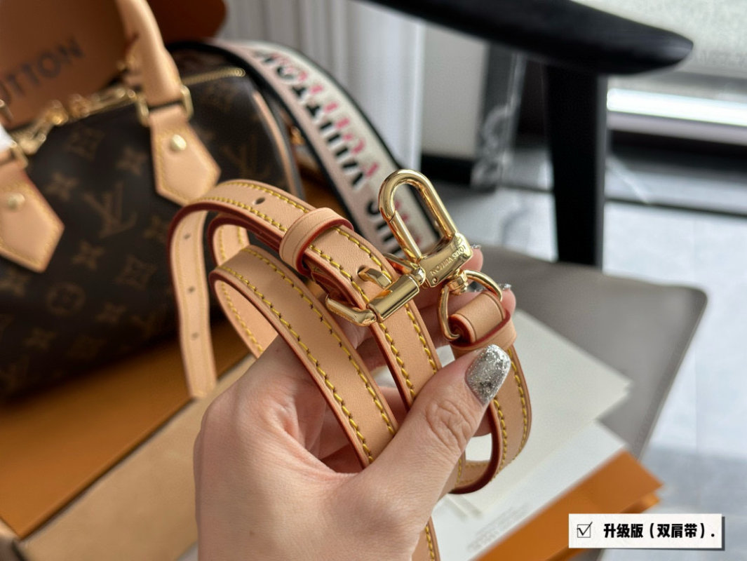 Louis Vuitton Speedy 20 Monogram Canvas Handbag view