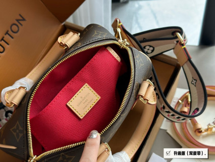 Louis Vuitton Speedy 20 Monogram Canvas Handbag view 9
