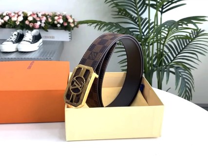 Louis Vuitton Damier Canvas Belt with Gold Buckle - Brown
