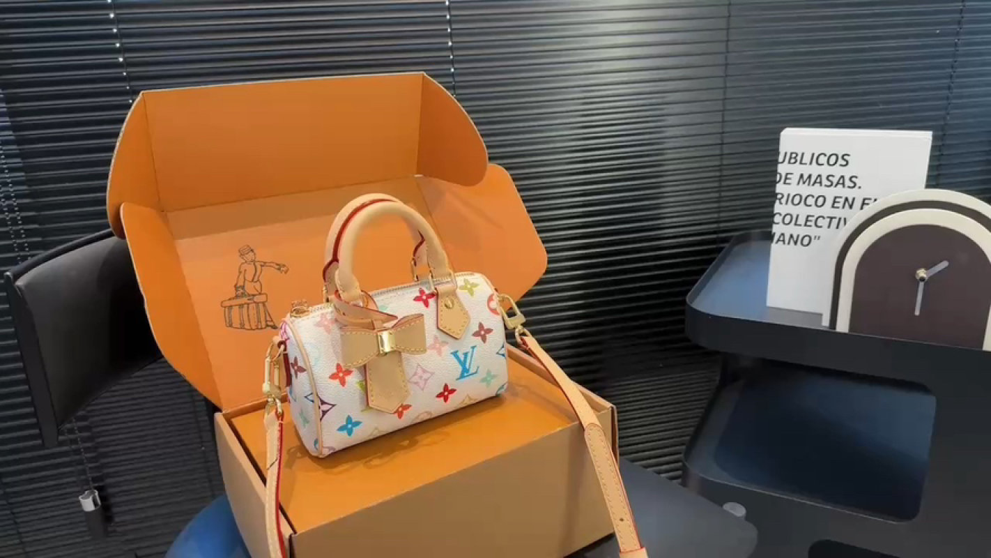 Louis Vuitton Speedy Multicolor Monogram Handbag