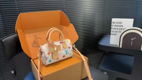 Louis Vuitton Speedy Multicolor Monogram Handbag