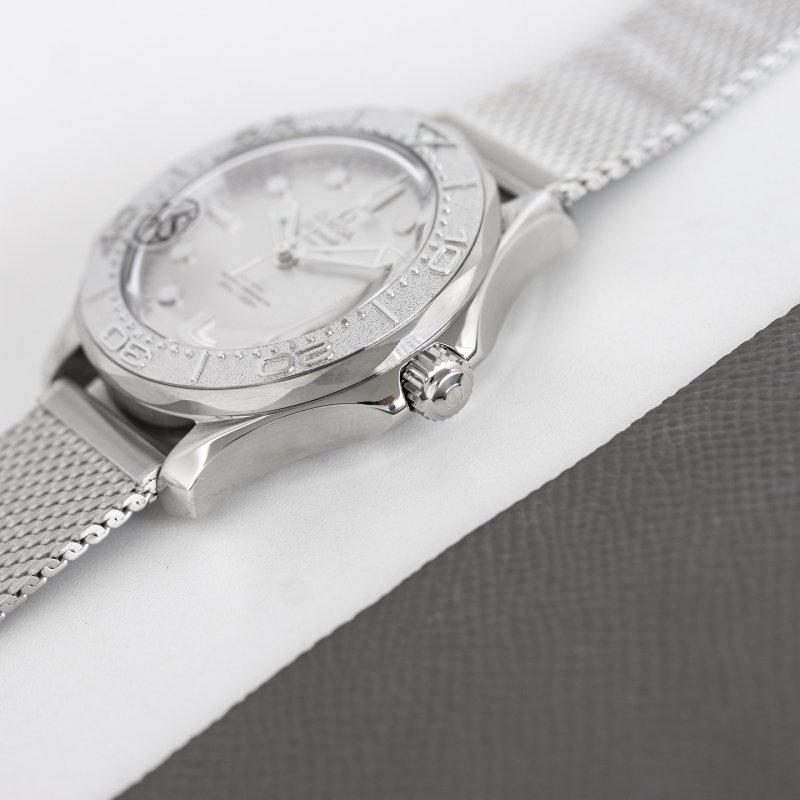 Omega Seamaster Diver 300M Steel Mesh Watch view