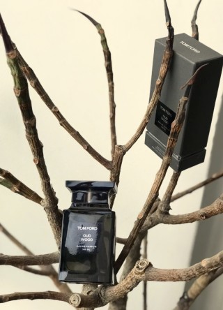 Tom Ford Oud Wood Eau de Parfum 100ml view 4