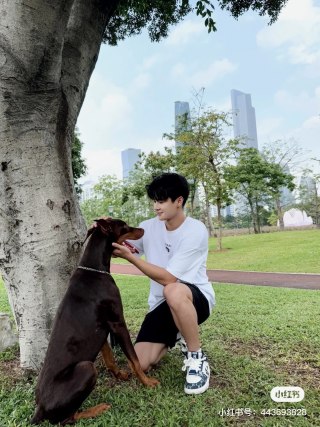 Prada White Logo T-Shirt view 3