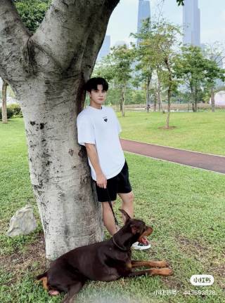 Prada White Logo T-Shirt view 4