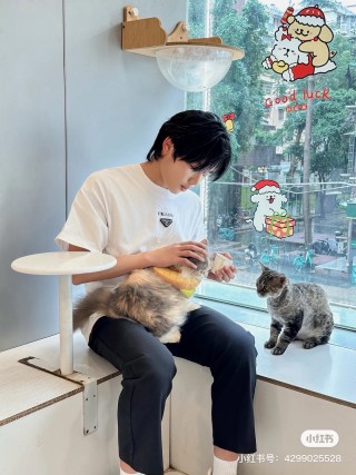 Prada White Logo T-Shirt view 6