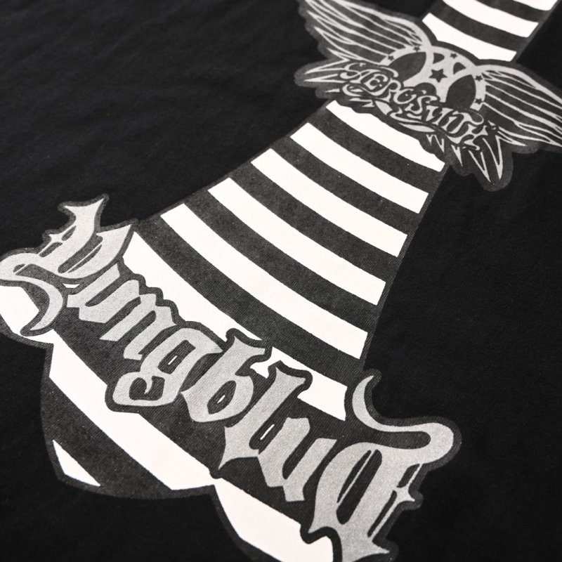Aerosmith Winged Logo Black T-Shirt view