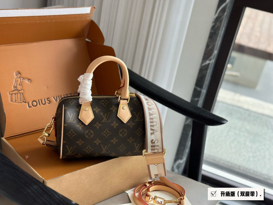Louis Vuitton Speedy 20 Monogram Canvas Handbag