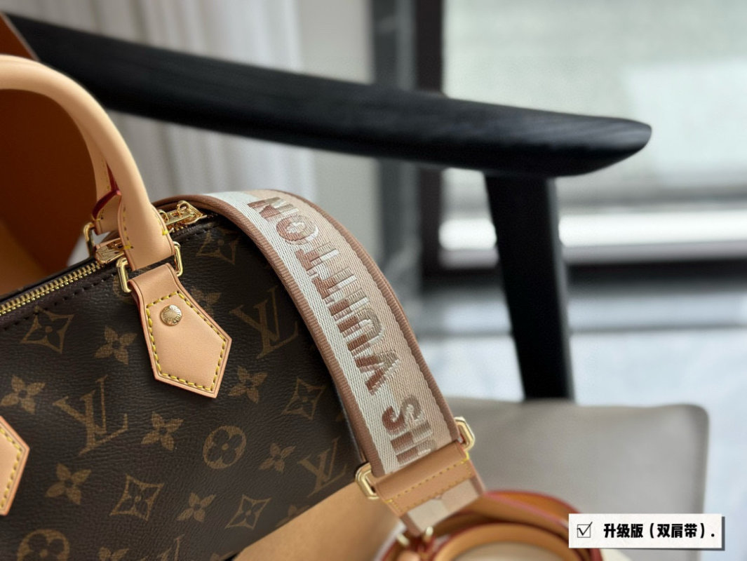 Louis Vuitton Speedy 20 Monogram Canvas Handbag view