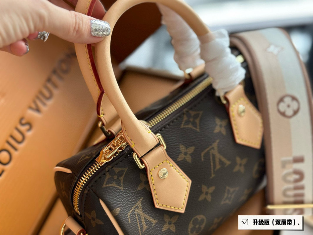 Louis Vuitton Speedy 20 Monogram Canvas Handbag view