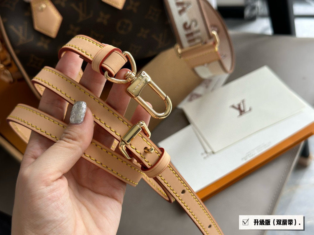 Louis Vuitton Speedy 20 Monogram Canvas Handbag view