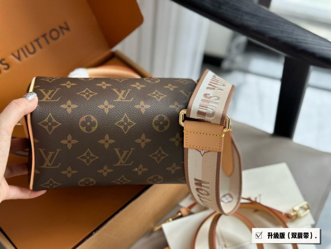 Louis Vuitton Speedy 20 Monogram Canvas Handbag view