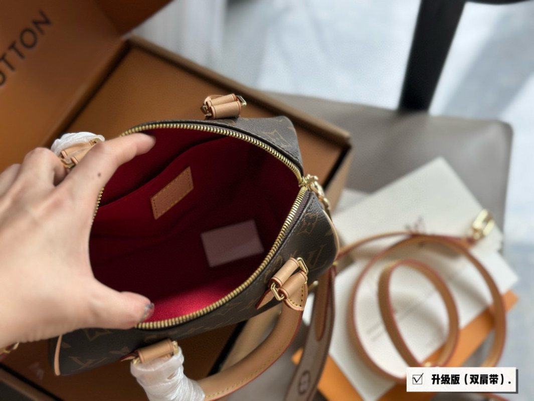 Louis Vuitton Speedy 20 Monogram Canvas Handbag view