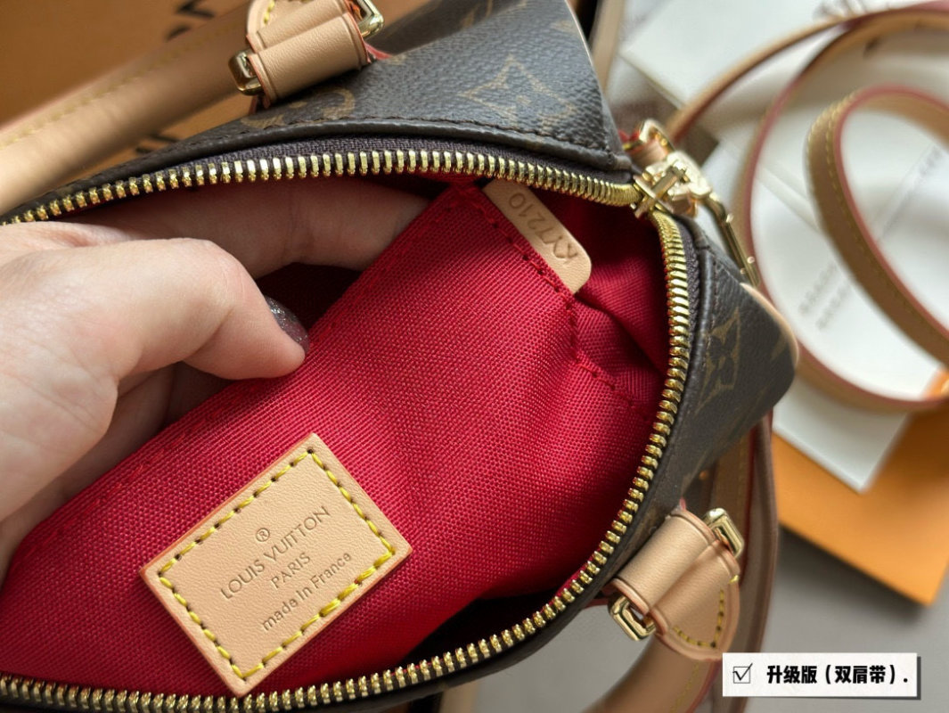 Louis Vuitton Speedy 20 Monogram Canvas Handbag view