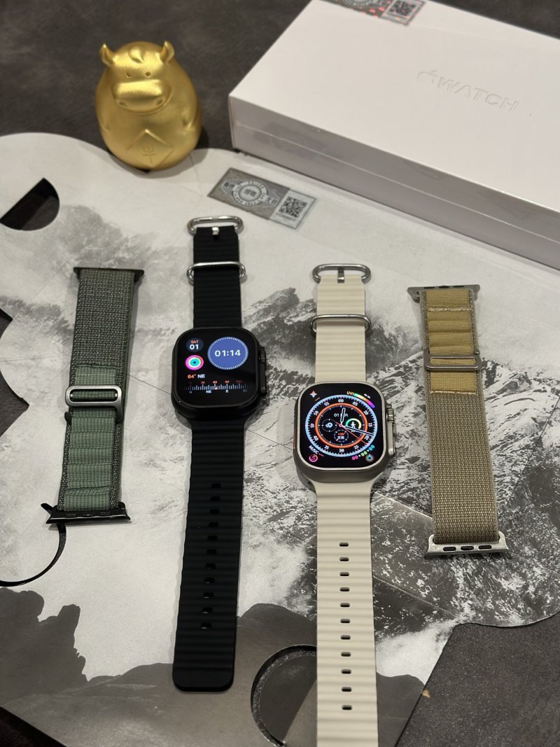 Apple Watch Ultra 2 1:1 Replica - Silver Titanium view